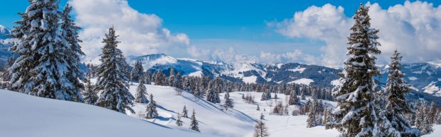 Les Houches